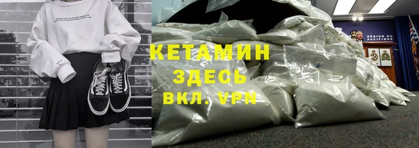 сатива Горняк