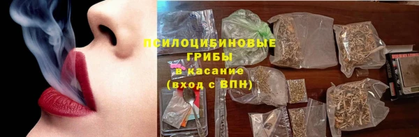 ГАЛЛЮЦИНОГЕННЫЕ ГРИБЫ Вязники