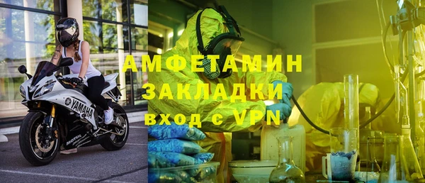 сатива Горняк