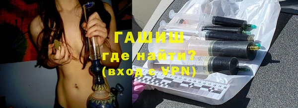 сатива Горняк