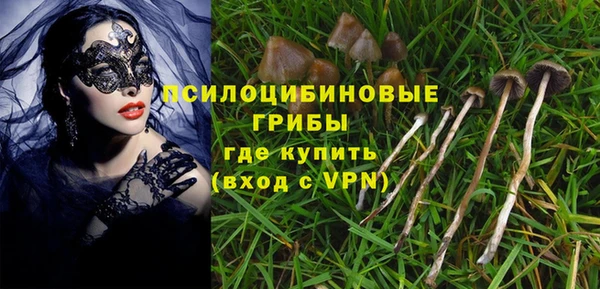 тгк Горно-Алтайск